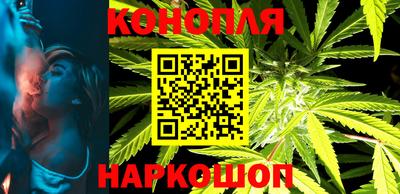Альфа ПВП Краснознаменск
