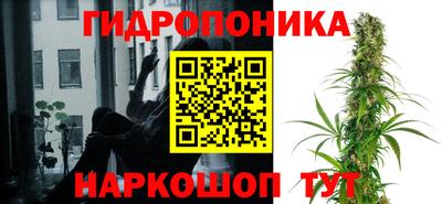 Альфа ПВП Краснознаменск