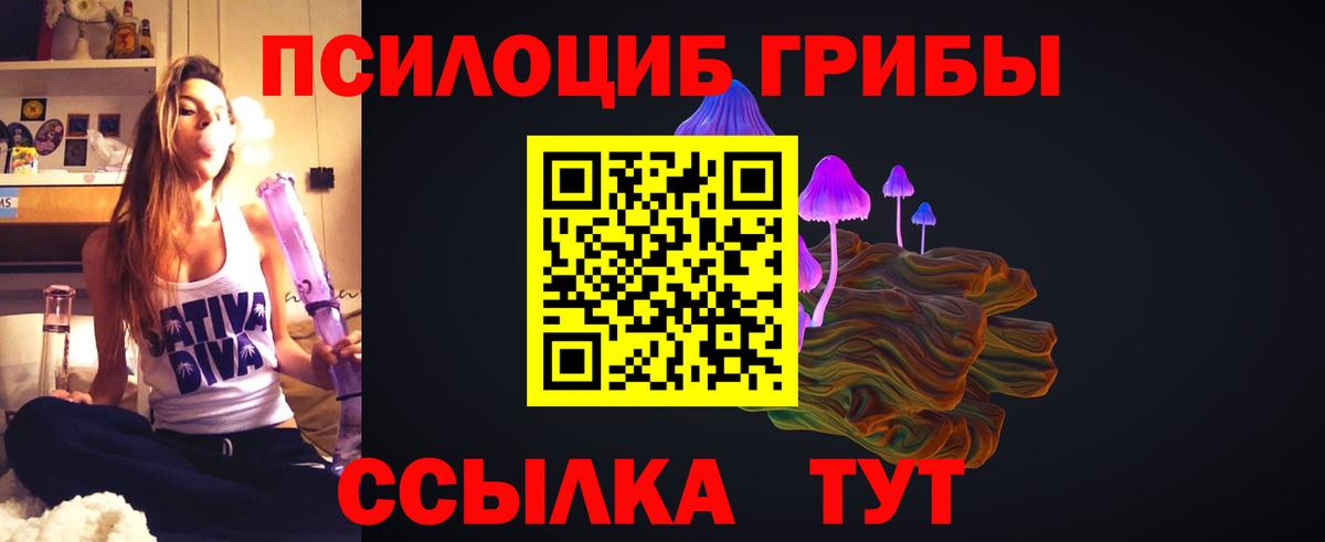 Керчь  Галлюциногенные грибы Cubensis  Вход с VPN 