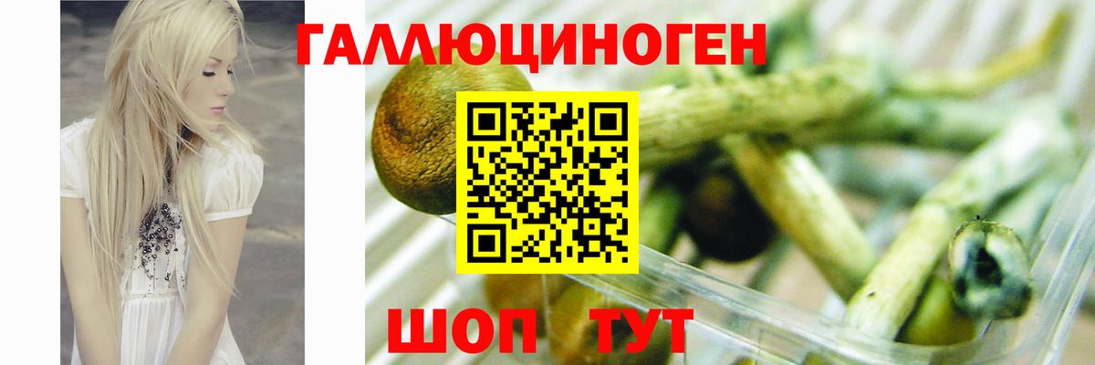 Псилоцибиновые грибы Cubensis Керчь